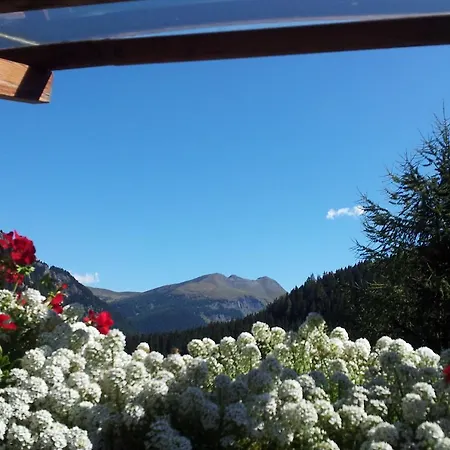 Apartment Chalet Belvedere